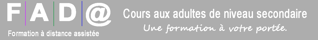 Formation à distance assistée du CSSDM